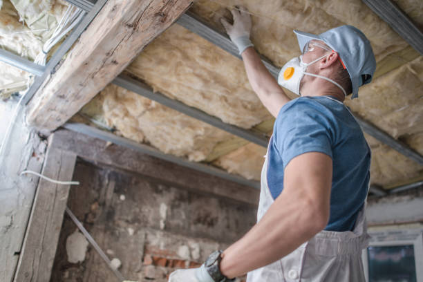 Best Insulation for Specific Applications in Indian Shores, FL